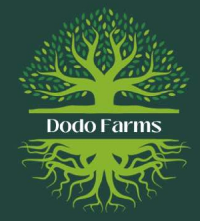 dodo-farms-sitelgo