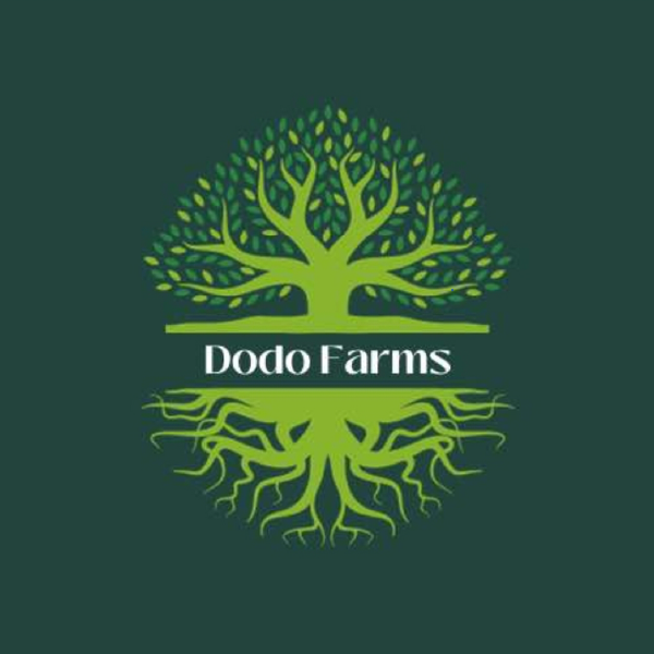 dodo-farms-sitelgo