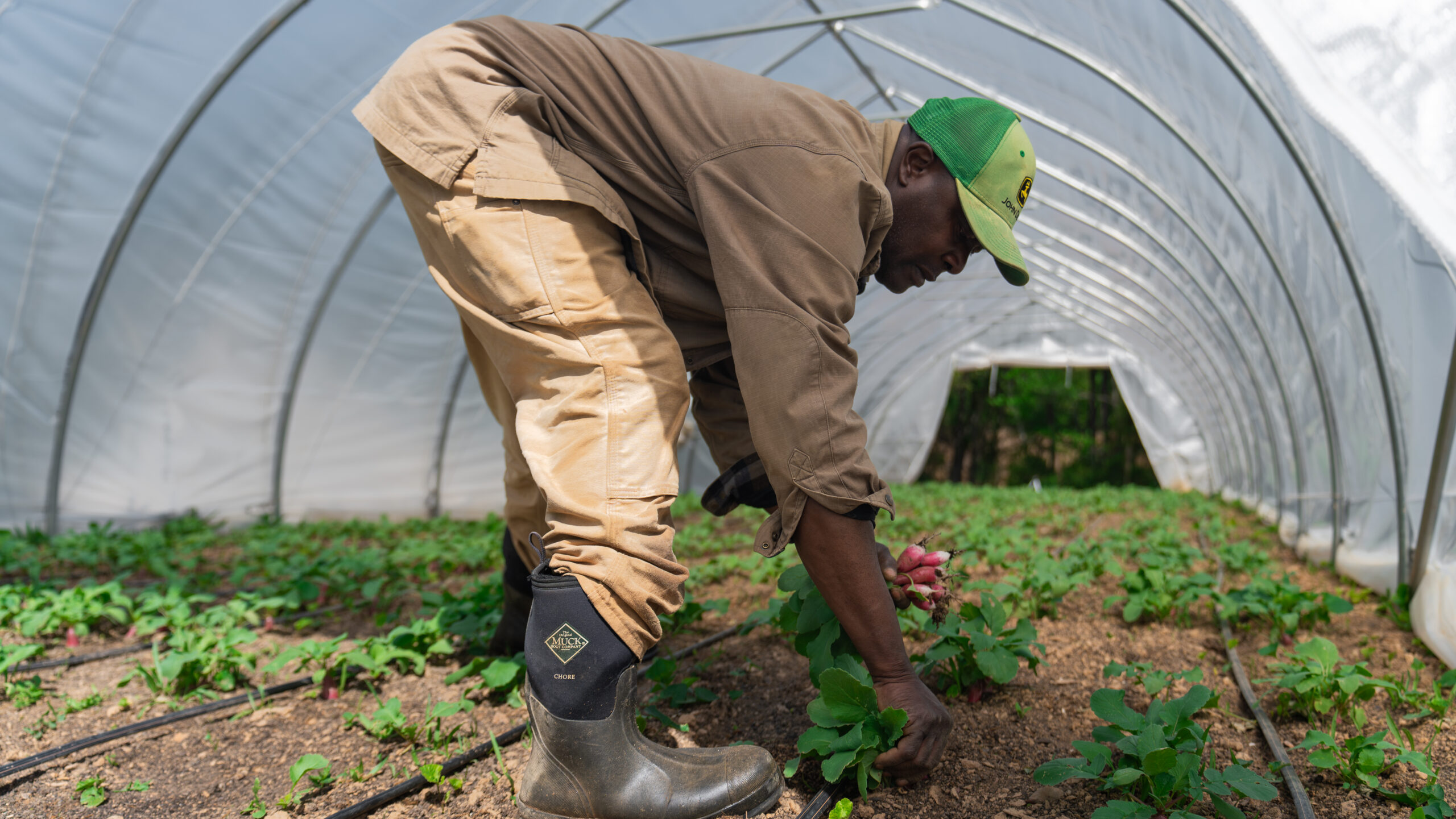 Dodo Farms farmer