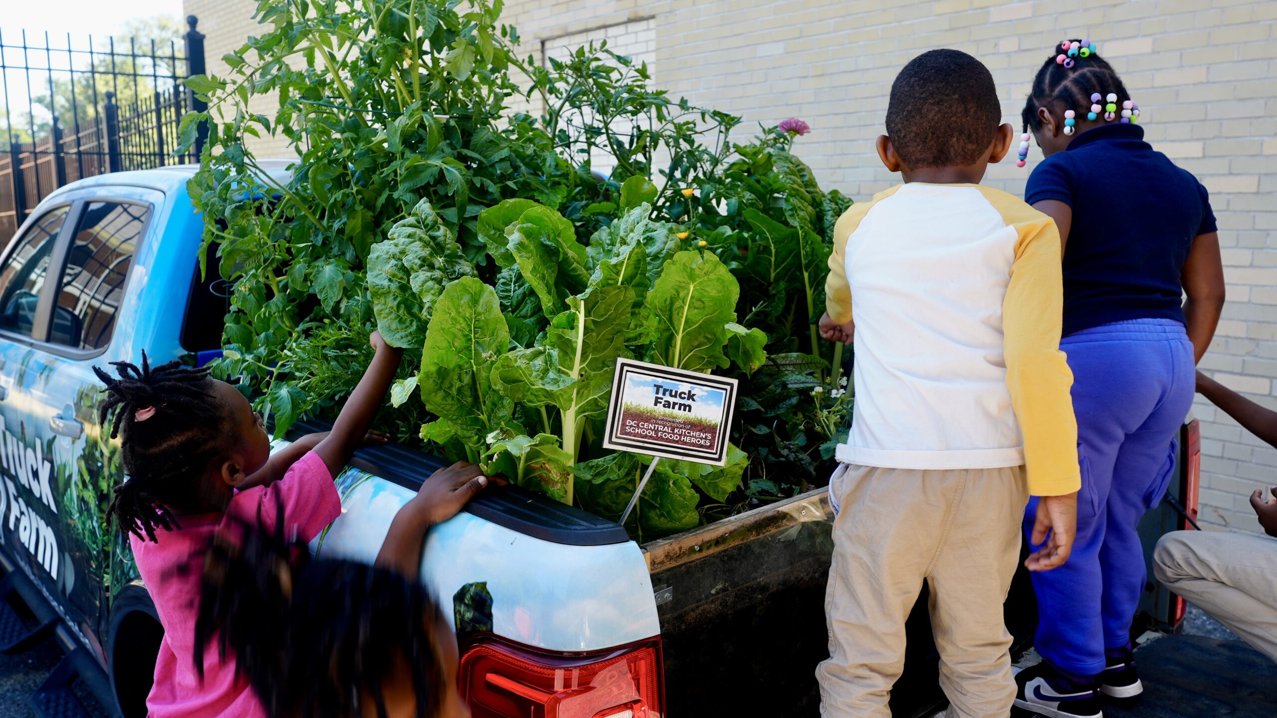 Children at the DC Central Kitchen Farm Truck