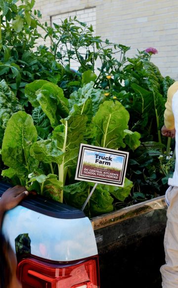 Children at the DC Central Kitchen Farm Truck