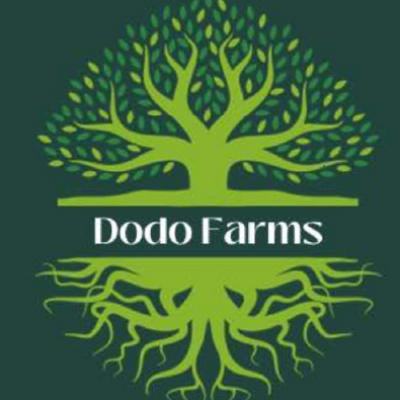 dodo-farms-sitelgo