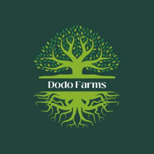 dodo-farms-sitelgo